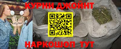шишки Славгород