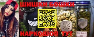 шишки Славгород