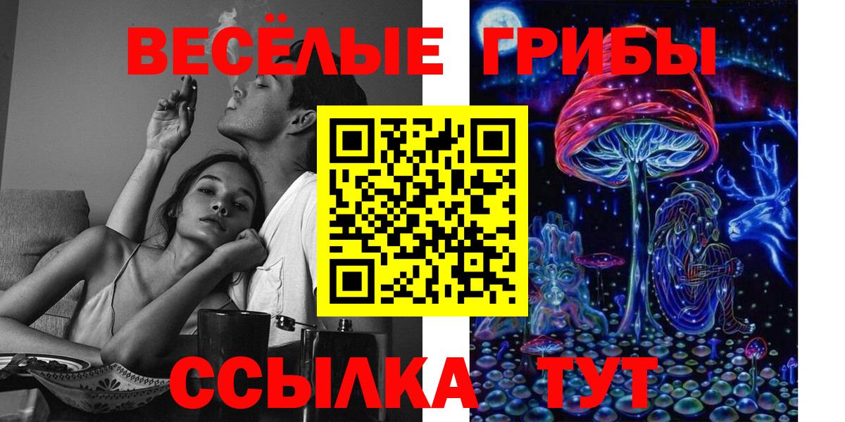 Псилоцибиновые грибы Magic Shrooms  Вход с VPN  Рубцовск  наркота  Галлюциногенные грибы мицелий 